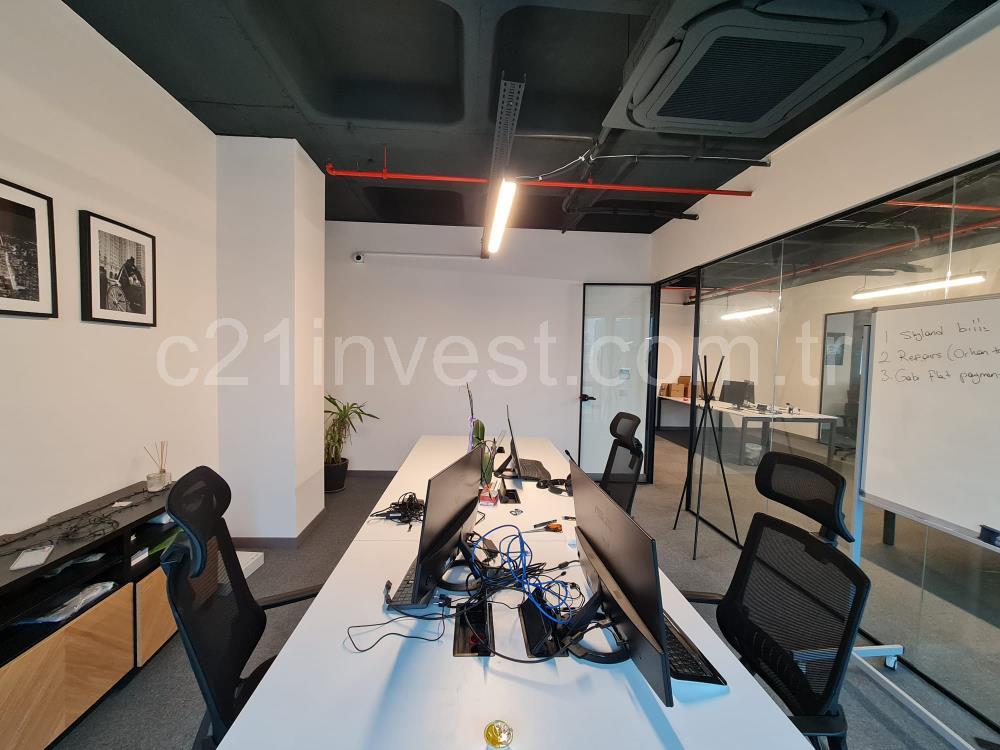 Kiralık Ofis Portavadi 400m2 Dekorasyonlu Boş Vadistanbul