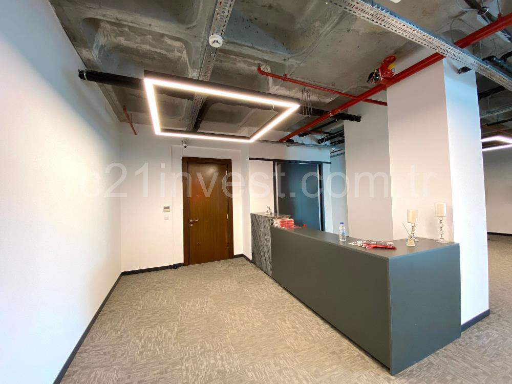 Porta Vadi Satılık 450m2+20m2 (Depolu) Ofis Vadistanbul